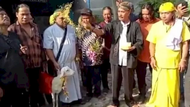 Buntut Video Pria Nikahi Kambing, Politikus Nasdem Jadi Tersangka