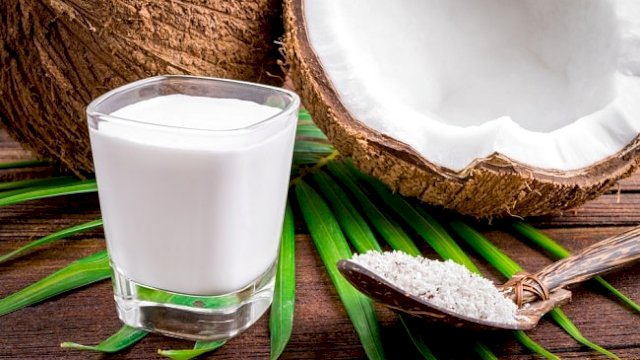Santan kelapa 