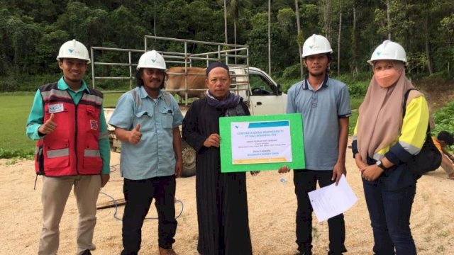 PT Vale Indonesia Tbk menyerahkan hewan kurban berupa sapi kepada masyarakat /IST