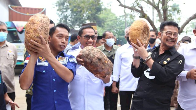 Menteri Pertanian Syahrul Yasin Limpo (Mentan SYL) melepas ekspor chip porang ke Cina/Ist