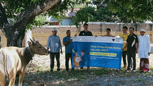 Penyerahan hewan kurban PT STM ke masyarakat di Hu'u. 