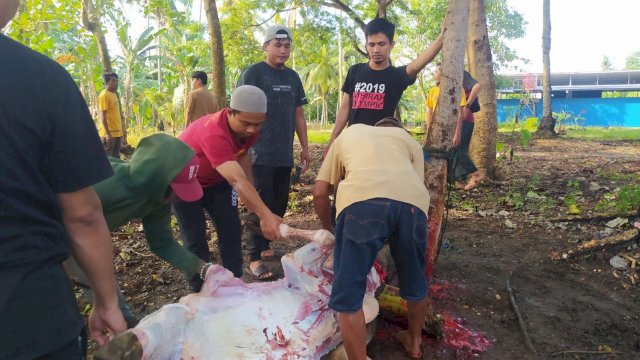 Penyembelihan hewan kurban di sekolah Islam Athirah, Selasa (12/7/2022). Foto: dok 