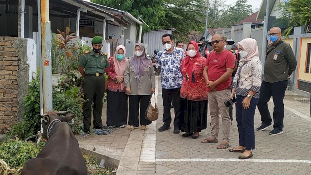 Dinas Peternakan dan Perkebunan Kabupaten Gowa melakukan pemantauan terhadap kondisi hewan ternak di wilayahnya/IST