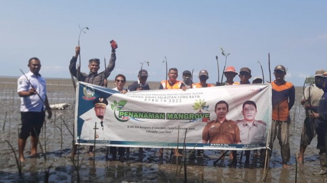 Dinas Kelautan dan Perikanan (DKP) Provinsi Sulawesi Selatan melalui Cabang Dinas Kelautan (CDK) Luwu Raya melakukan penanaman mangrove di Desa Burau Pantai, Kecamatan Burau, Kabupaten Luwu Timur, Rabu (20/7/2022)/IST