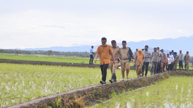 Benih padi gratis itu disalurkan oleh Dinas Tanaman Pangan, Holtikultura, dan Perkebunan (TPHBun) Provinsi Sulsel melalui program Mandiri Benih/Ist
