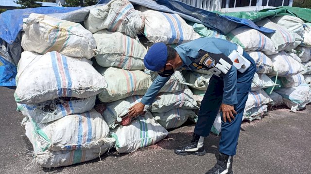 

Ket. Ratusan karung terumbu karang merah yang diamankan TNI Angkatan Laut (AL)/PORTAL MEDIA/REZA
