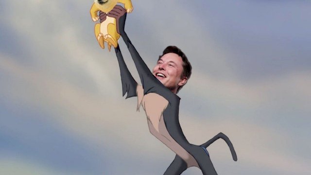 Elon Musk: Dogecoin Jauh Lebih Baik daripada Bitcoin