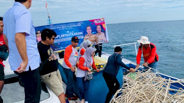 DKP Sulsel Rehabilitasi Ekosistem Terumbu Karang di 2 Pulau Kecil Takalar