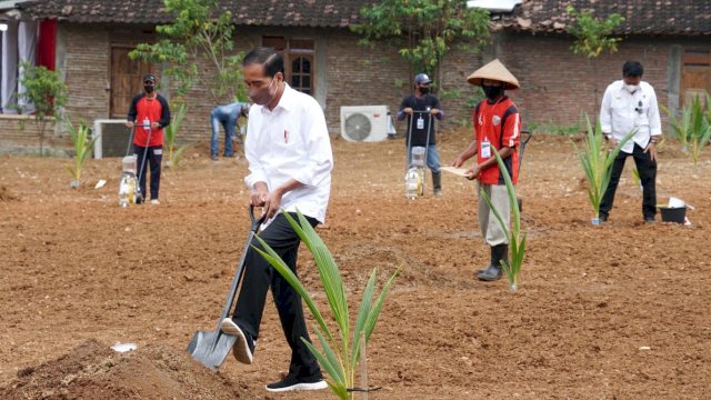 Kurangi Ketergantungan Impor, Jokowi: Gandum Bisa Dicampur Sagu