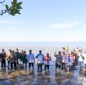 Rawat Ekosistem, CDK Bosowasi Tanam 38 Ribu Batang Mangrove di Pancaitana Bone