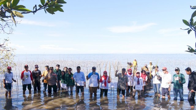 Cabang Dinas Kelautan Bosowasi Dinas Kelautan dan Perikanan Sulsel melaksanakan kegiatan penanaman mangrove sebanyak 38.000 bibit mangrove/IST