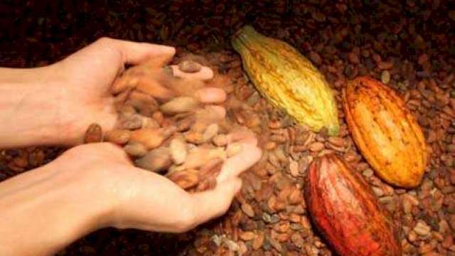  Industri Kecil Menengah (IKM) Chocolate Kabupaten Bantaeng menggagas Fermentasi Center biji kakao dengan Standar Nasional Indonesia (SNI)/IST