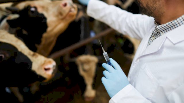 Ilustrasi. Foto: istock