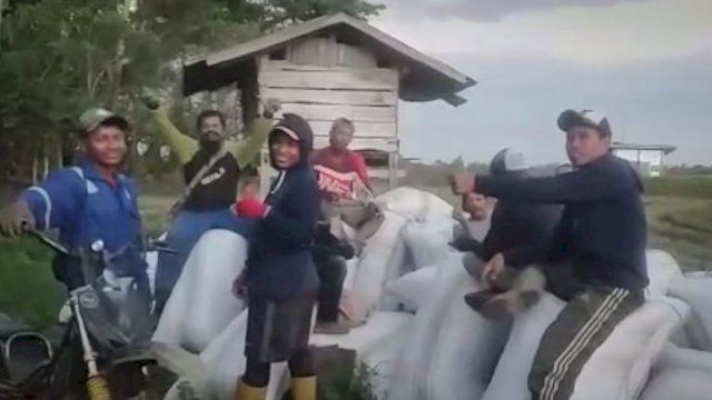 Program Mandiri Benih Tahun 2022 di Kabupaten Wajo berhasil mendorong produktivitas petani di di Desa Ujung Tanah, Kecamatan Bola, Kabupaten Wajo/IST