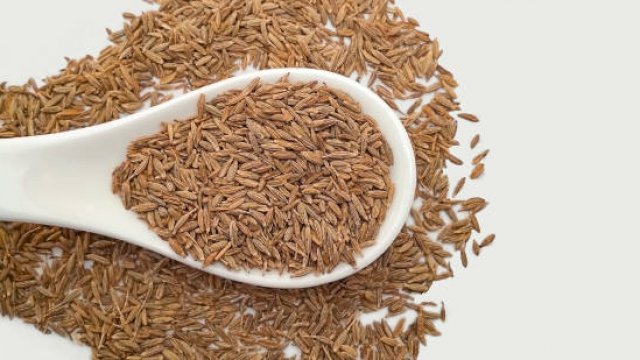 Ilustrasi. Foto: istock