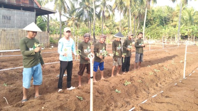 Penanaman berbagai jenis holtikultura di Taka Bonerate yang diinisiasi oleh Polsek Taka Bonerate. Foto: dok