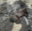 Dikira Boneka, Jasad Bayi di Makassar Ditemukan Terbakar Ditumpukan Sampah