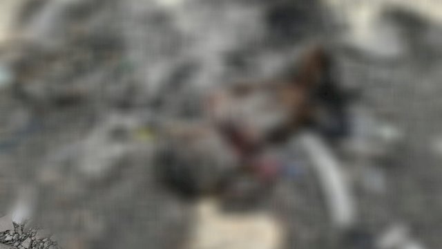 Jasad bayi yang ditemukan sudah kondisi terbakar di tumpukan sampah (ist)