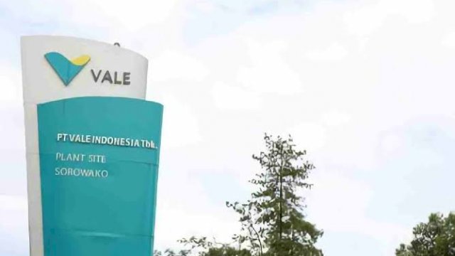 3000 Lebih Pelamar Berebut Kursi Karyawan Non Staff, PT Vale Pastikan Proses Berjalan Transparan 