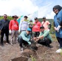 Tanam 200 Bibit Pohon Tembeuwa, PT Vale Dukung Program Konservasi Pesisir Danau Towuti
