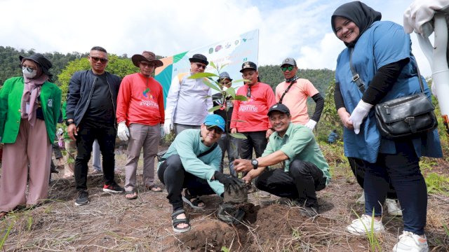 Penanaman bibit pohon Tembeuwa di area konservasi pesisir Pantai Lamapu, Danau Towuti, Sabtu (17/9/2022) lalu. 
