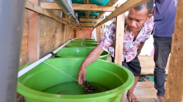 Kelompok Nelayan Bintang Laut yang mendapatkan bantuan Budidaya Lobster dari PLN di Kelurahan Lowu-lowu Kec. Lea-lea Kota Baubau, Sulawesi Tenggara/IST