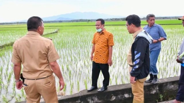 Gubernur Sulsel Andi Sudirman Sulaiman saat meninjau daerah pertanian di Sulsel/IST