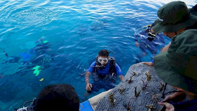 PT Pelabuhan Indonesia (Persero) Regional 4 melakukan penanaman sebanyak 2.747 pohon buah di Kabupaten Sigi, Sulawesi Tengah/IST