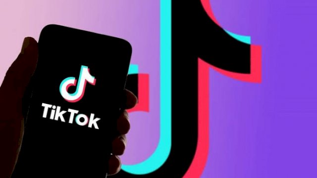 Langgar Kebijakan Keamanan, Tiktok Hapus 113 Juta Video 