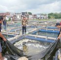Atasi Harga Makanan Ikan yang Melonjak, Ini Permintaan Warga ke Gubernur Sulsel
