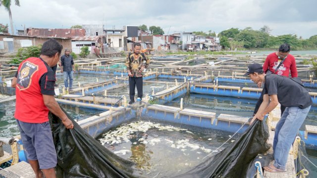 Gubernur Sulsel, Andi Sudirman Sulaiman meninjau langsung  usaha perikanan  warga, Minggu, 2 Oktober 2022/IST