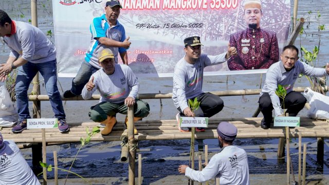 Gubernur Sulawesi Selatan, Andi Sudirman Sulaiman melakukan penanaman 35.300 batang Mangrove, Sabtu 15 Oktober 2022/ist
