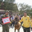 Hadiah Kuda Anti Mager Gubernur Sulsel di Jeneponto Diraih Anggota Satpol PP