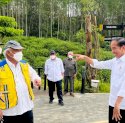 Tinjau Pembangunan Infrastruktur IKN, Begini Penilaian Presiden Jokowi 