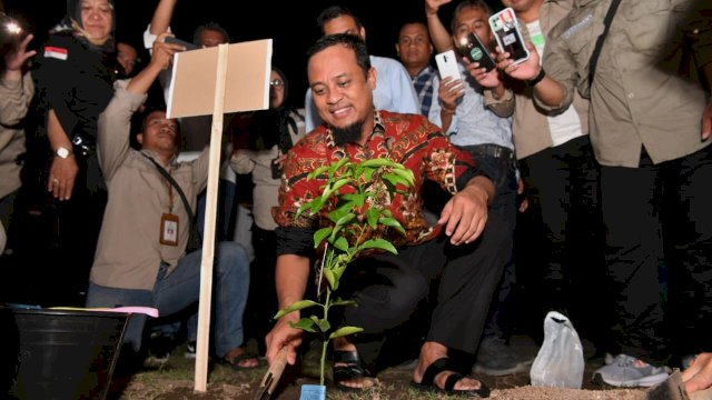 Gubernur Sulsel saat melakukan penanaman jeruk Keprok di Kepulauan Selayar. Foto: dok