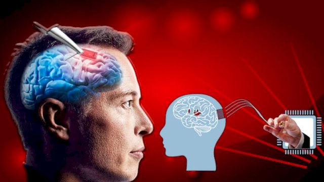 Elon Musk Siap Uji Coba Pasang Chip ke Otak Manusia, Diklaim Sembuhkan Kelumpuhan