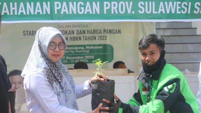 Pembagian bibit yang dilaksanakan di Halaman Kantor Camat Mamajang, Rabu, 14 Desember 2022/IST