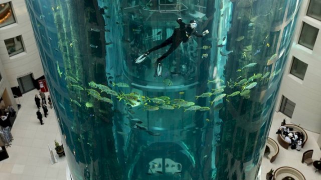 Akuarium Raksasa di Jerman Meledak, 1.500 Ikan Tak Dapat Diselematkan 