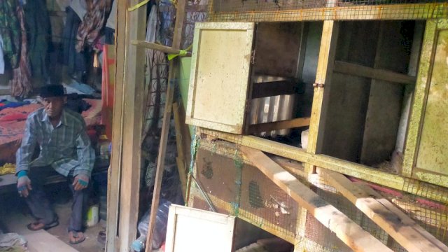 Kondisi rumah Paeba Daeng Nai, di Kampung Beru, Dusun Bontoramba, Desa Panciro, Kecamatan Bajeng, Gowa, yang hidup serumah dengan kandang ayamnya/IST