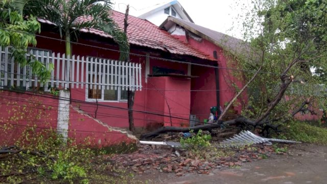 Pohon tumbang robohkan pagar tembok SD di Makassar/IST