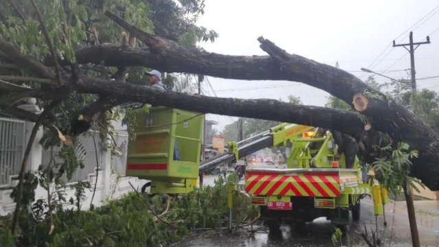 DLH Gowa sedang melakukan pembersihan pohon tumbang di jalan Yusuf Bauty, Kecamatan Somba Opu, Gowa. (Foto: Ist/Irham/PM)