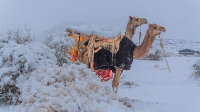 Suhu Kota Turaif Arab Saudi Capai Nol Derajat Celsius, Sementara di Jazan 30 Derajat