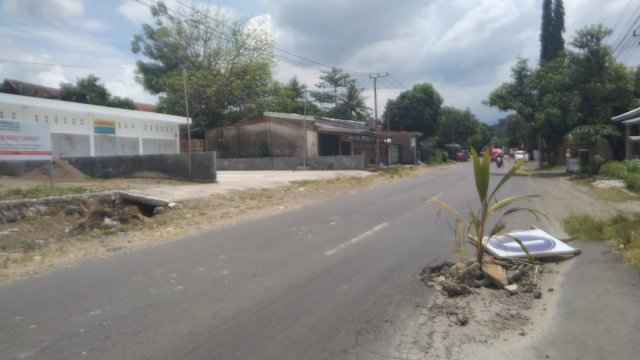 Kondisi jalan lintas Kabupaten di Kecamatan Tamalatea ditanami pohon kelapa. (IST/AkbarRazak/Portamedia).