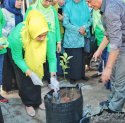 Mulai Hilang di Pasaran, Begini Upaya PKK Kembalikan Kejayaan Jeruk Keprok di Selayar 