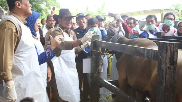 Kick Off Pengendalian dan Penanggulangan Penyakit Mulut dan Kuku (PMK) Nasional 2023 oleh Menteri Pertanian Syahrul Yasin Limpo, yang dipusatkan di Kabupaten Barru, Sabtu, 28 Januari 2023.