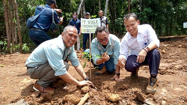 Penanaman pohon di area Water Park. 