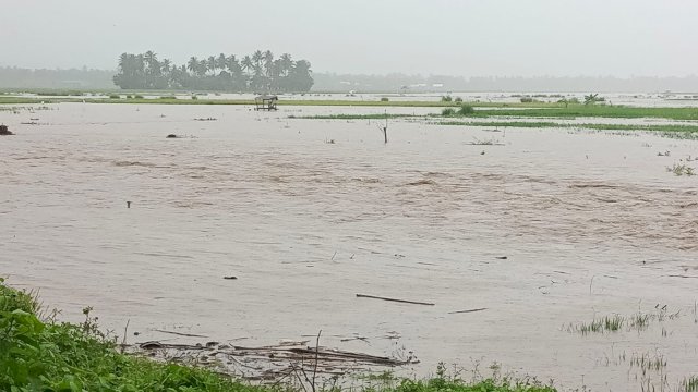 Puluhan hektare sawah di Desa Lentu, Kecamatan Bontoramba Kabupaten Jeneponto, Sulawesi Selatan, terendam banjir. (IST/akbar/portalmedia).