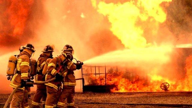 KKB di Papua Menggila, Kali Ini Bakar Gedung Sekolah