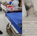 Netizen Keluhkan RSUD Syekh Yusuf Gowa: Kucing Berkeliaran hingga IGD Dekat Parkiran