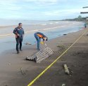 Mayat Pria Bertato Hati Bersayap Ditemukan Terdampar di Pantai Tanjung Bayang